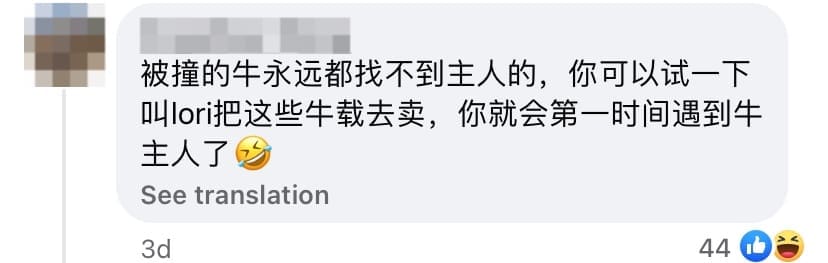 netizen comment