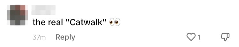 Netizen comment
