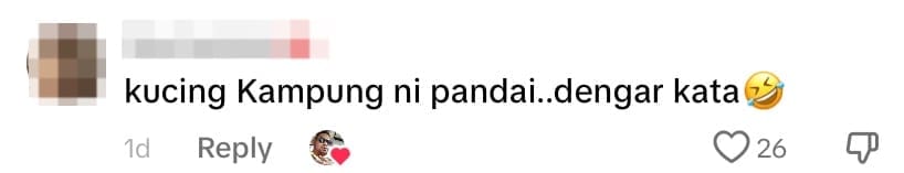 Netizen comment