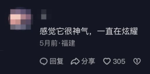 netizen comment