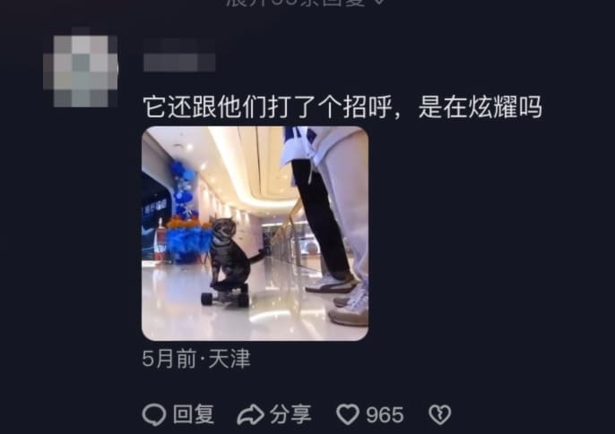 netizen comment