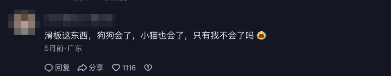 netizen comment
