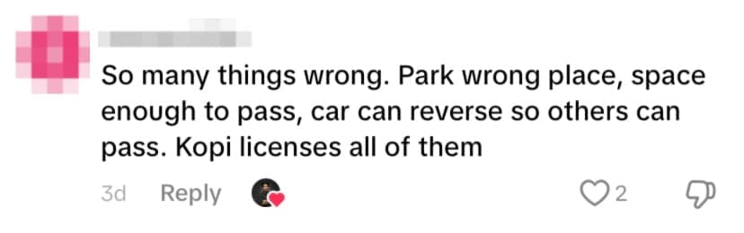 netizen comment