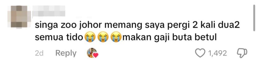 netizen comment