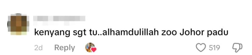 netizen comment