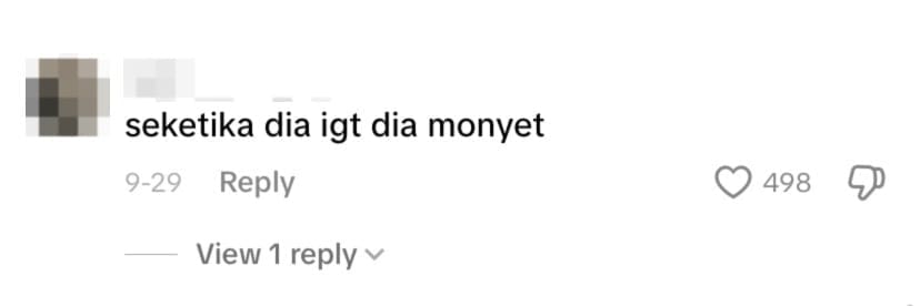 netizen comment