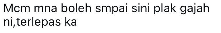 netizen comment 