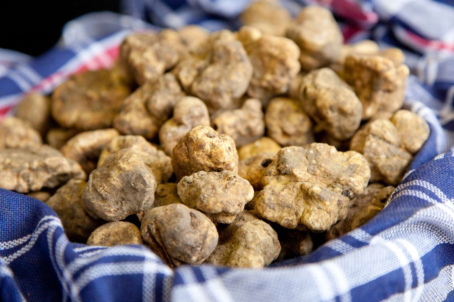 Love It Or Hate It, You Would Still Want To Try These Foods. But What Are They?