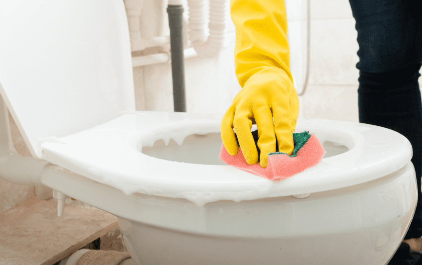 Woman cleaning toilet bowl