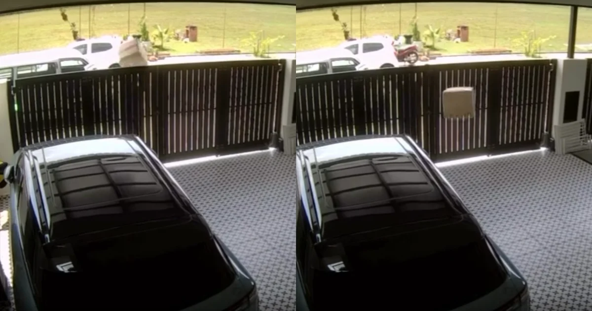 Worker throws porcelain plate parcel