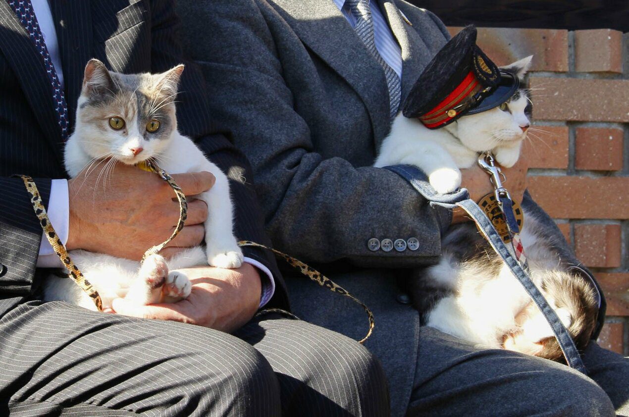 yontama new stationmaster