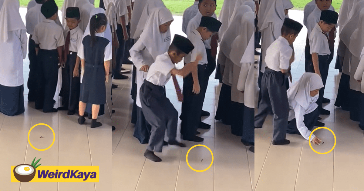 Young M'sian Girl Calmly Flicks Bug Away As Her Male Classmate Trembles During Assembly